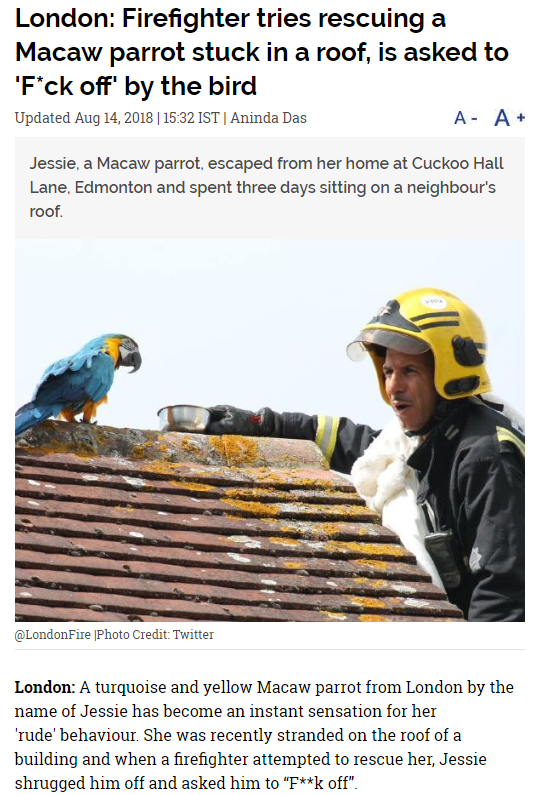 parrot tells firefighter to f off - London Firefighter tries rescuing a Macaw parrot stuck in a roof, is asked to 'Fck off by the bird Updated 1532 Ist | Aninda Das Jessie, a Macaw parrot escaped from her home at Cuckoo Hall Lane, Edmonton and spent three