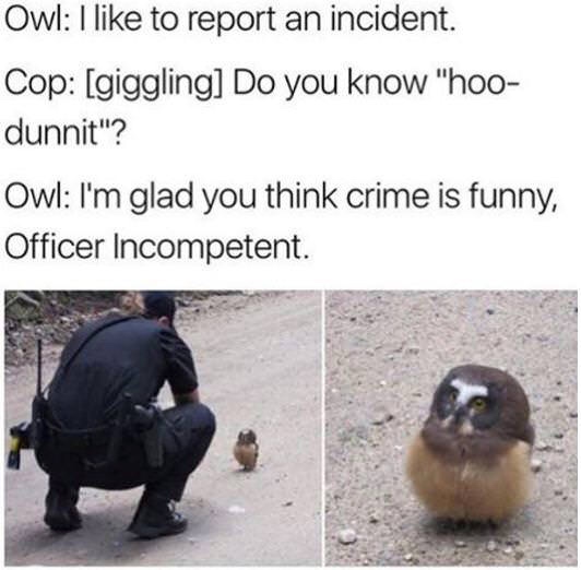 owl memes - Owl I to report an incident. Cop giggling Do you know "hoo dunnit"? Owl I'm glad you think crime is funny, Officer Incompetent.