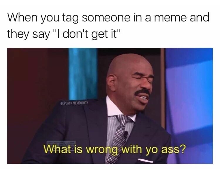 what's wrong with you gif - When you tag someone in a meme and they say "I don't get it" Fe Memeology What is wrong with yo ass?