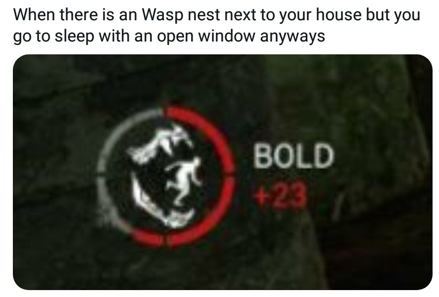 memes - photo caption - When there is an Wasp nest next to your house but you go to sleep with an open window anyways Bold 23
