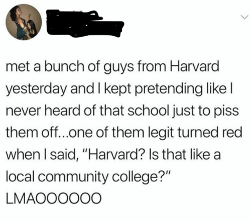 memes - lesbian shit - met a bunch of guys from Harvard yesterday and I kept pretending | never heard of that school just to piss them off...one of them legit turned red when I said, "Harvard? Is that a local community college?" LMAOO0000