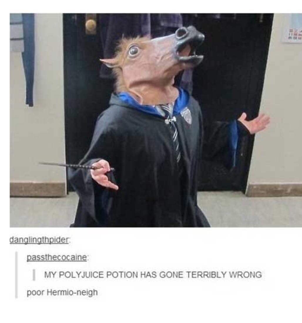 memes - harry potter memes - danglingthpider passthecocaine My Polyjuice Potion Has Gone Terribly Wrong poor Hermioneigh
