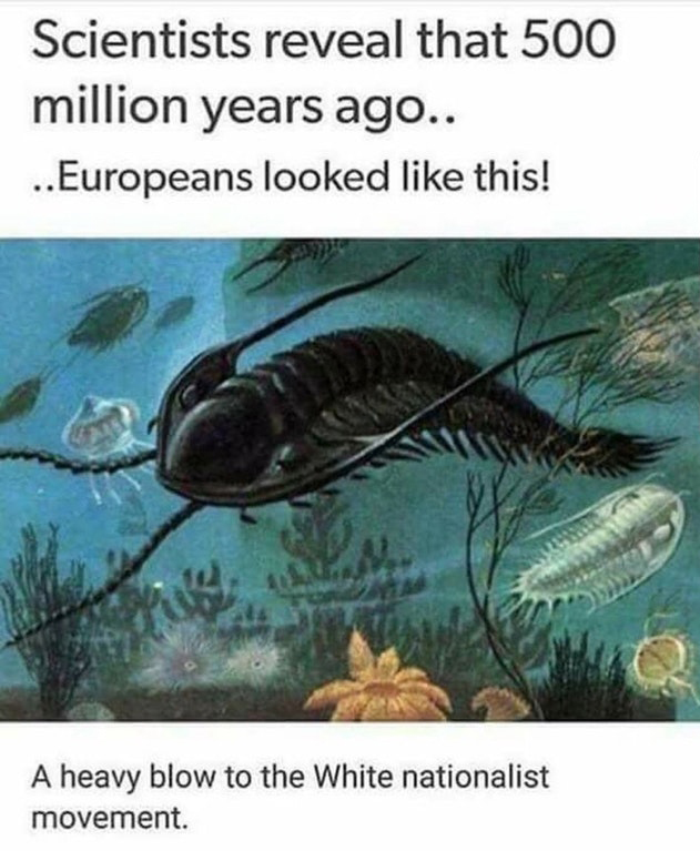 trilobite cool - Scientists reveal that 500 million years ago.. ..Europeans looked this! A heavy blow to the White nationalist movement.