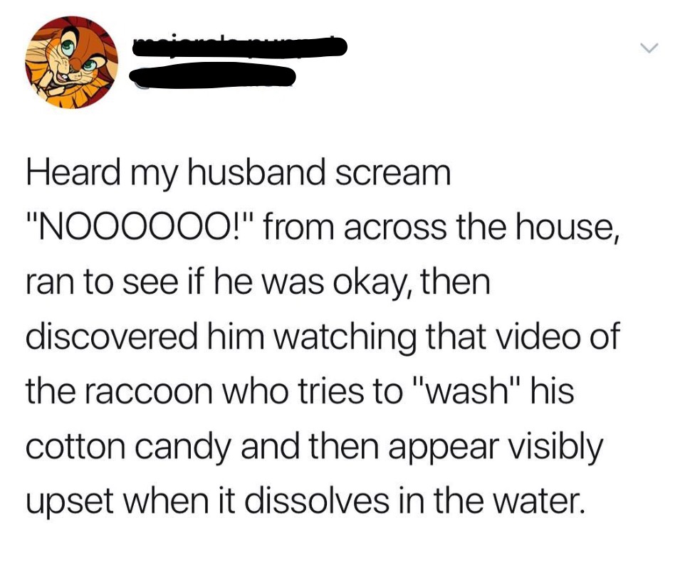 angle - Heard my husband scream "Noooooo!" from across the house, ran to see if he was okay, then discovered him watching that video of the raccoon who tries to "wash" his cotton candy and then appear visibly upset when it dissolves in the water.