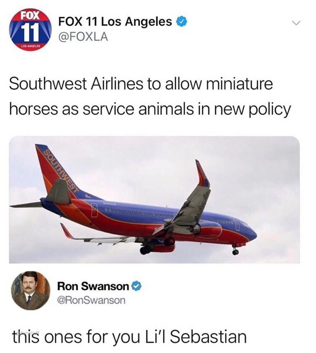 southwest airlines to allow miniature horses - Fox Fox 11 Los Angeles Southwest Airlines to allow miniature horses as service animals in new policy Southwest Ron Swanson Swanson this ones for you Li'l Sebastian