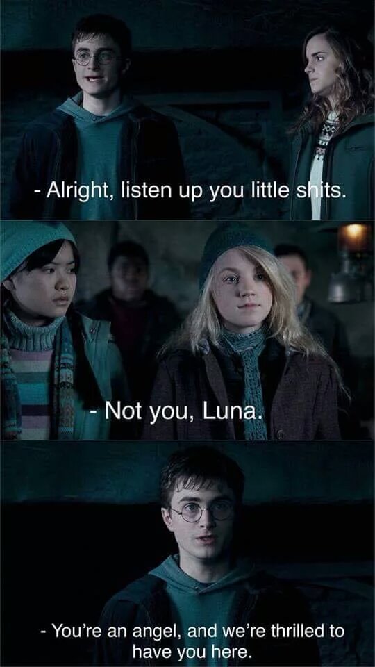 harry potter meme - 1825 Alright, listen up you little shits. Not you, Luna. You're an angel, and we're thrilled to have you here.