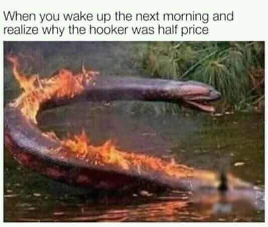 half price hooker meme - When you wake up the next morning and realize why the hooker was half price