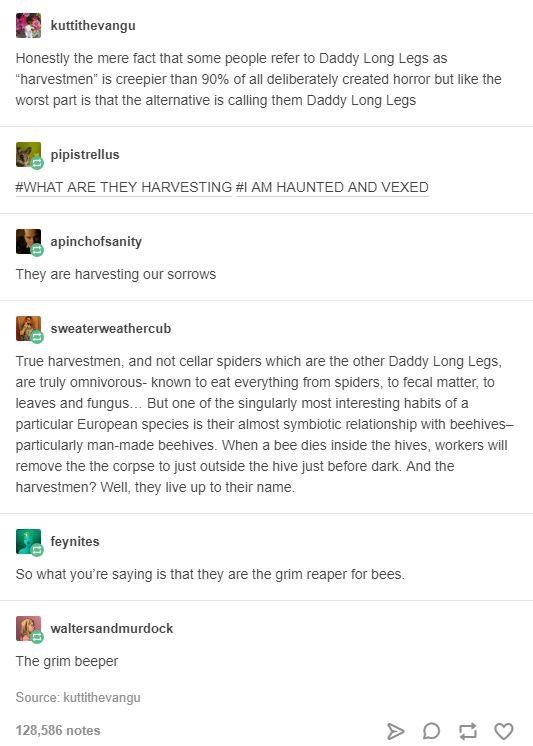 daddy long legs tumblr post - kuttithevangu Honestly the mere fact that some people refer to Daddy Long Legs as "harvestmen" is creepier than 90% of all deliberately created horror but the worst part is that the alternative is calling them Daddy Long Legs