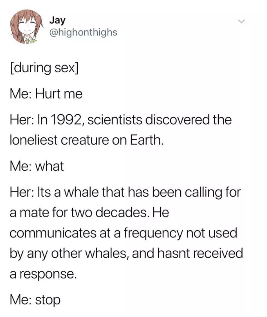 memes - document - Jay during sex Me Hurt me Her In 1992, scientists discovered the loneliest creature on Earth. Me what cades. Ne Her Its a whale that has been calling for a mate for two decades. He communicates at a frequency not used by any other whale