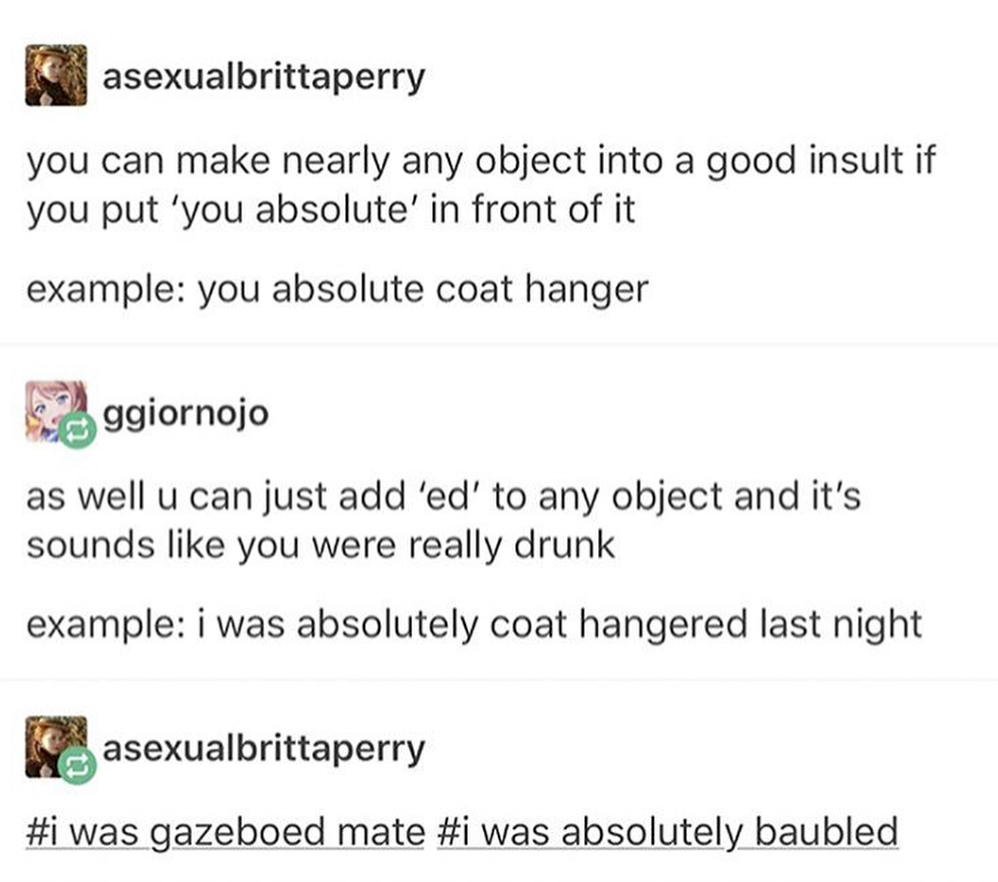 memes - coat hangered - asexualbrittaperry you can make nearly any object into a good insult if you put 'you absolute' in front of it example you absolute coat hanger Soggiornojo as well u can just add 'ed' to any object and it's sounds you were really dr