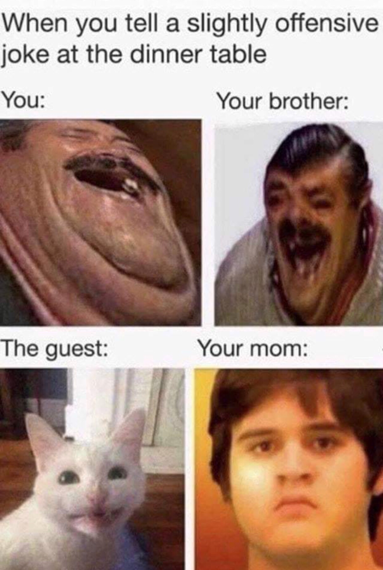 memes - dank offensive memes - When you tell a slightly offensive joke at the dinner table You Your brother The guest Your mom