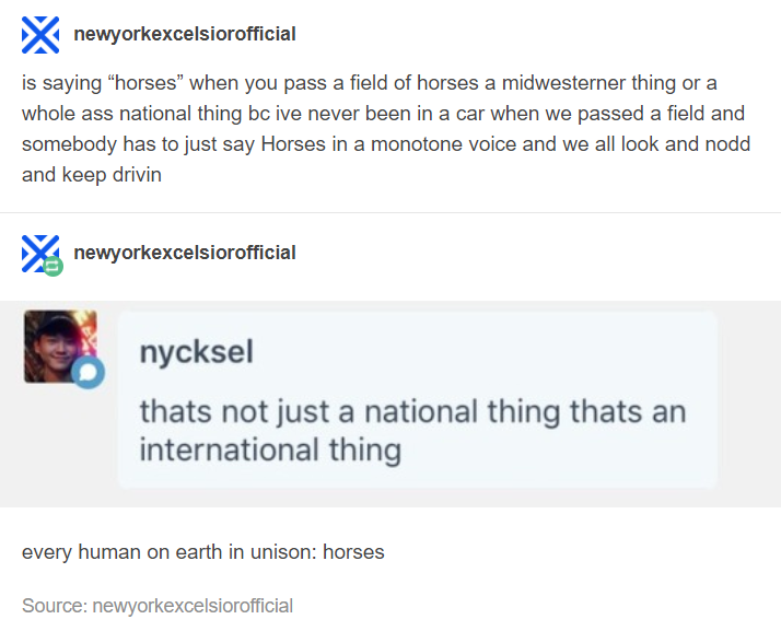 memes - document - X newyorkexcelsiorofficial is saying "horses" when you pass a field of horses a midwesterner thing or a whole ass national thing bc ive never been in a car when we passed a field and somebody has to just say Horses in a monotone voice a