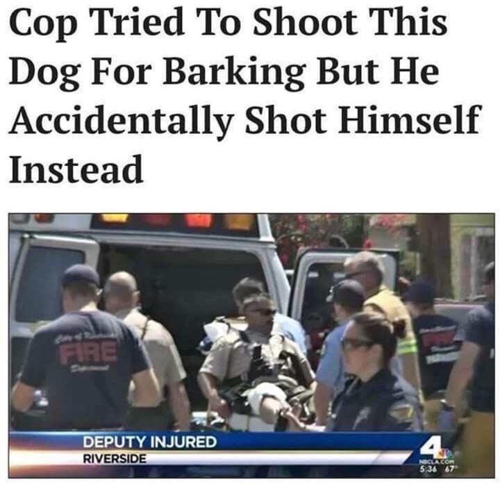 article headline of cringy cop that tried to shoot barking dog but shot himself instead
