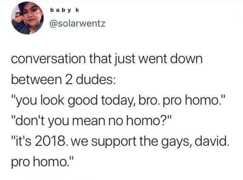 pro homo is the new no homo