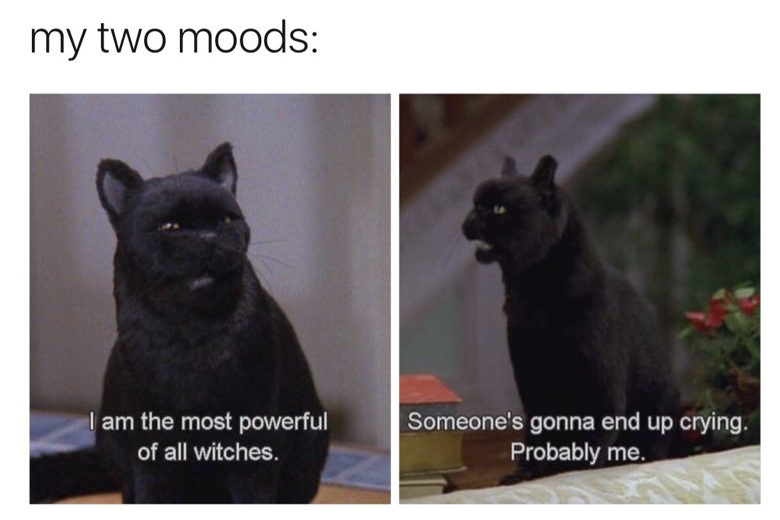 my two moods meme