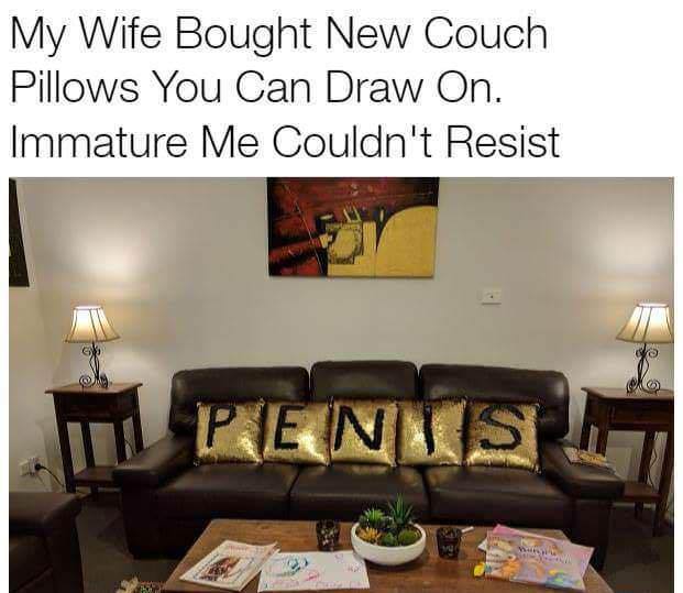 bought a new couch - My Wife Bought New Couch Pillows You Can Draw On. Immature Me Couldn't Resist Penis