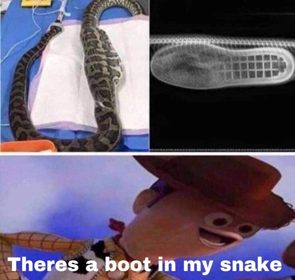boot in my snake