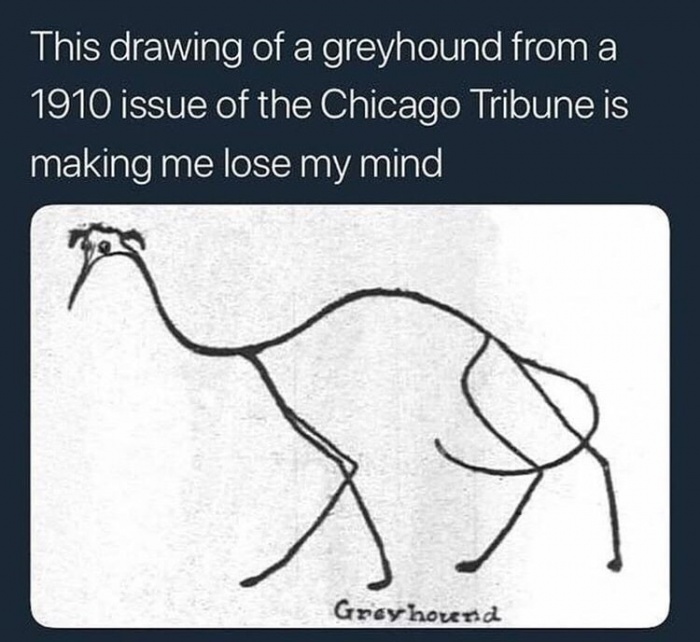 dankness of diagram - This drawing of a greyhound from a 1910 issue of the Chicago Tribune is making me lose my mind reyhound