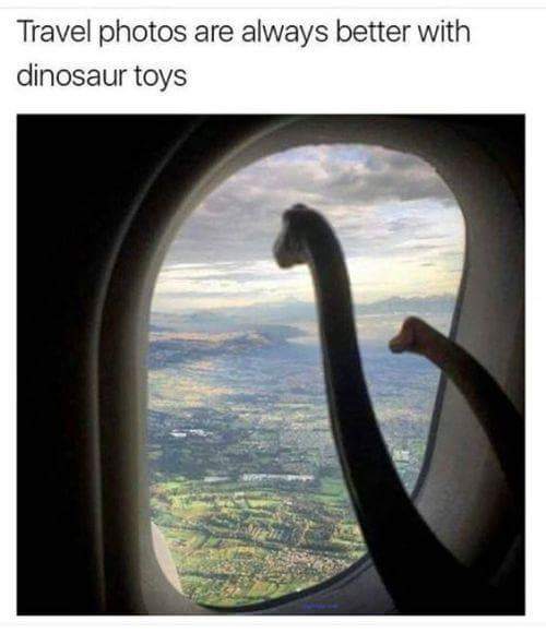 dankness of dinosaurs on a plane - Travel photos are always better with dinosaur toys
