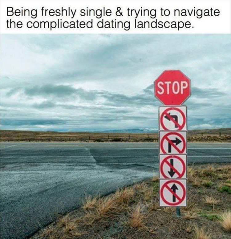 dankness of stop sign - Being freshly single & trying to navigate the complicated dating landscape. Stop
