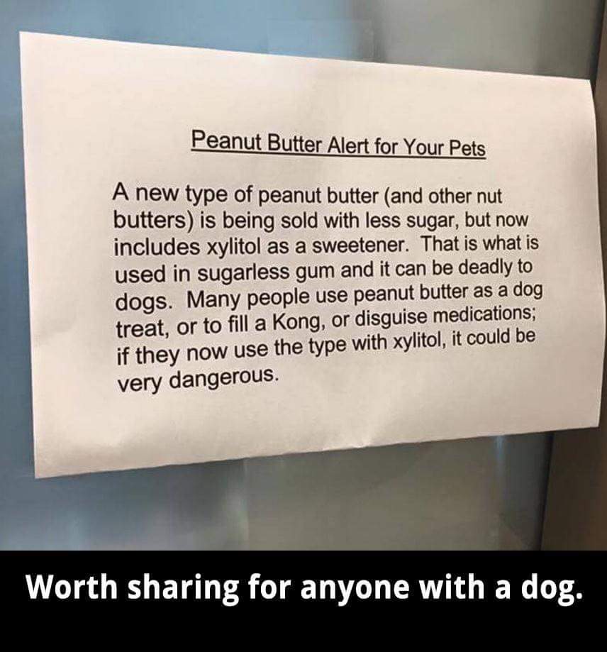 memes - much xylitol is in extra gum - Peanut Butter Alert for Your Pets A new type of peanut butter and other nut butters is being sold with less sugar, but now includes xylitol as a sweetener. That is what is used in sugarless gum and it can be deadly t