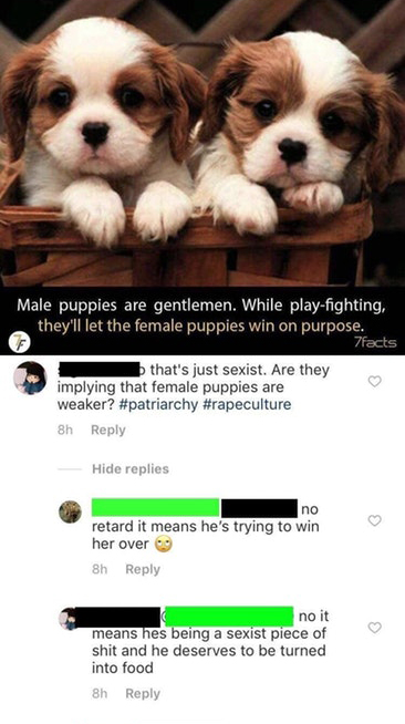 puppies that never grow - Male puppies are gentlemen. While playfighting, they'll let the female puppies win on purpose. 7facts that's just sexist. Are they implying that female puppies are weaker? 8h Hide replies no retard it means he's trying to win her