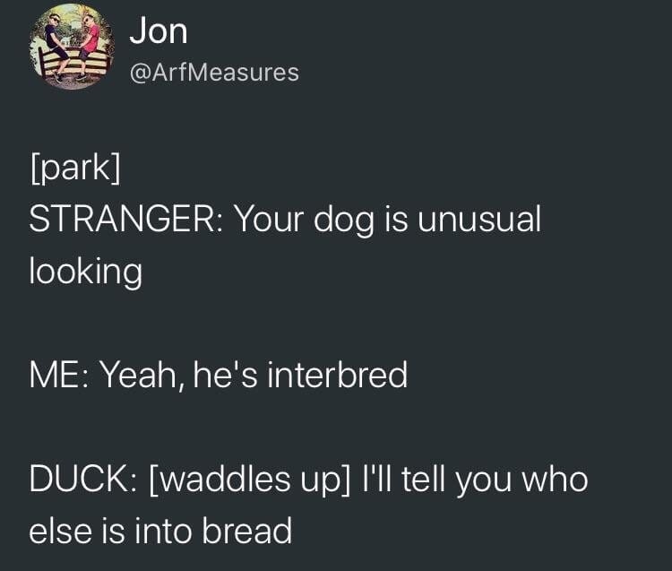 text meme about ducks liking bread
