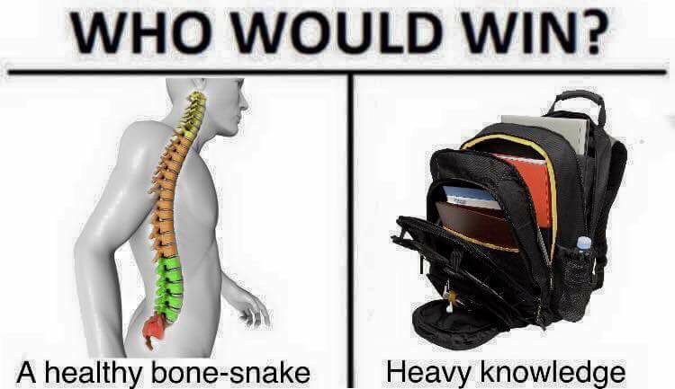 would win healthy bone snake - Who Would Win? A healthy bonesnake Heavy knowledge