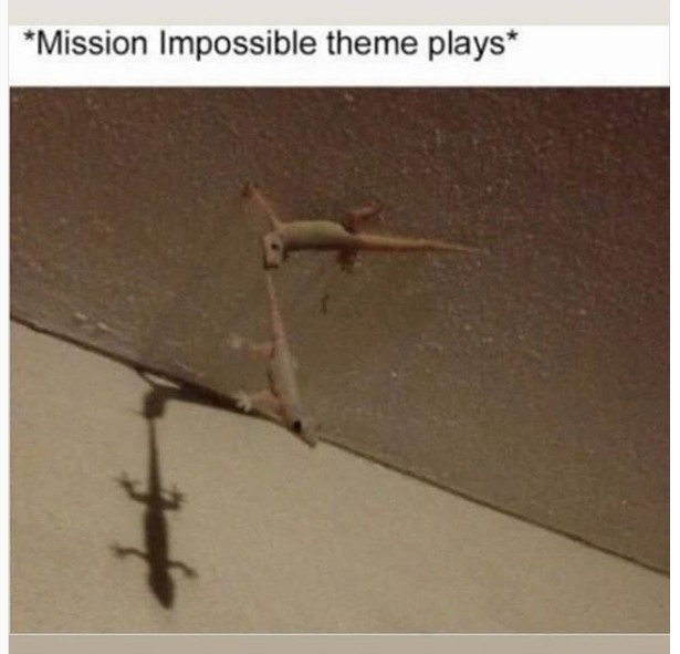 mission impossible funny - Mission Impossible theme plays