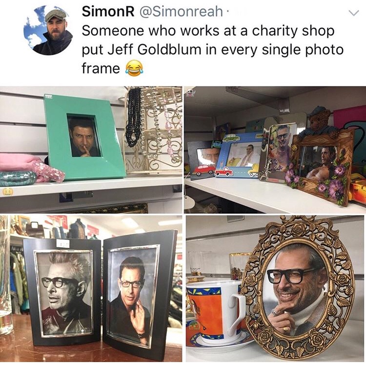 memes - media - SimonR Someone who works at a charity shop put Jeff Goldblum in every single photo frame Olo 0 0 . ml