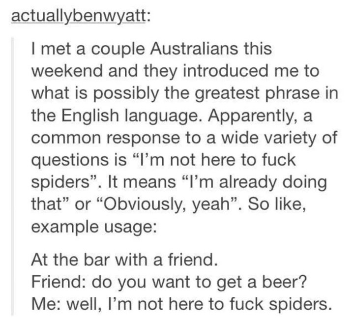 memes - document - actuallybenwyatt I met a couple Australians this weekend and they introduced me to what is possibly the greatest phrase in the English language. Apparently, a common response to a wide variety of questions is "I'm not here to fuck spide