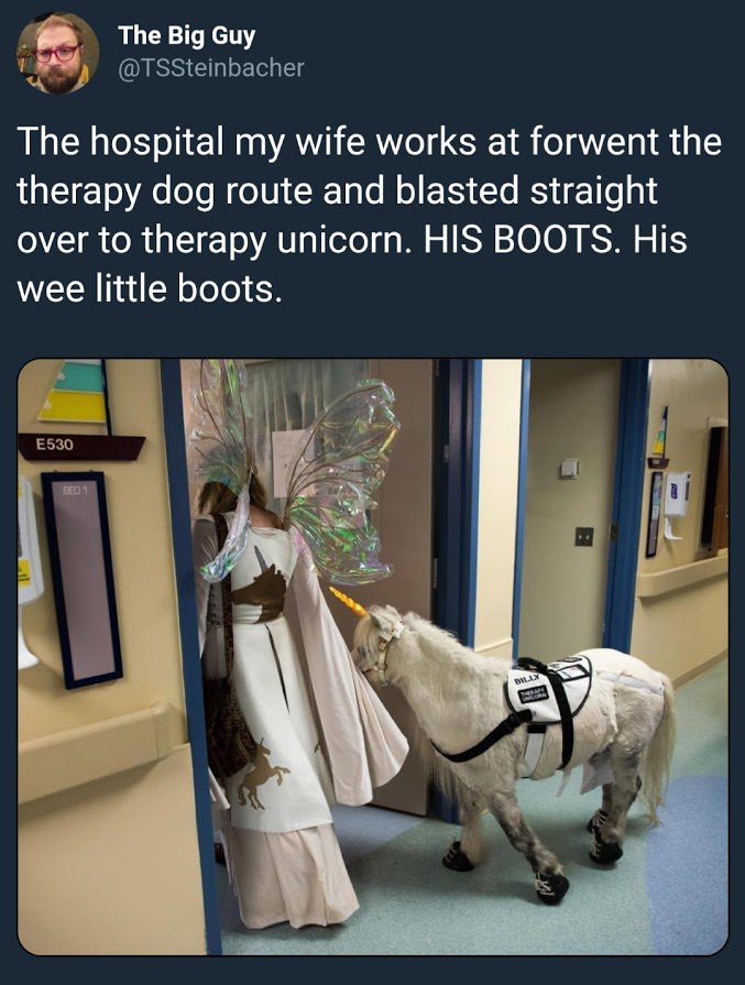 therapy unicorn hospital - The Big Guy The hospital my wife works at forwent the therapy dog route and blasted straight over to therapy unicorn. His Boots. His wee little boots. E530 Bed 1