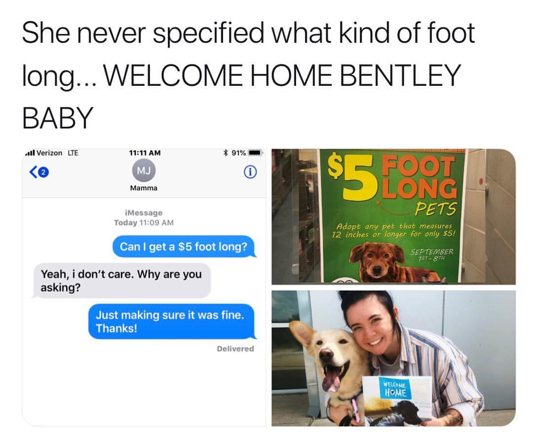memes - learning - She never specified what kind of foot long... Welcome Home Bentley Baby Verizon Lte 91% $ Foot Long Mamma Pets Message Today Adept a t that measures 12 inches or longer for any $5! Can I get a $5 foot long? September Ton Yeah, I don't c
