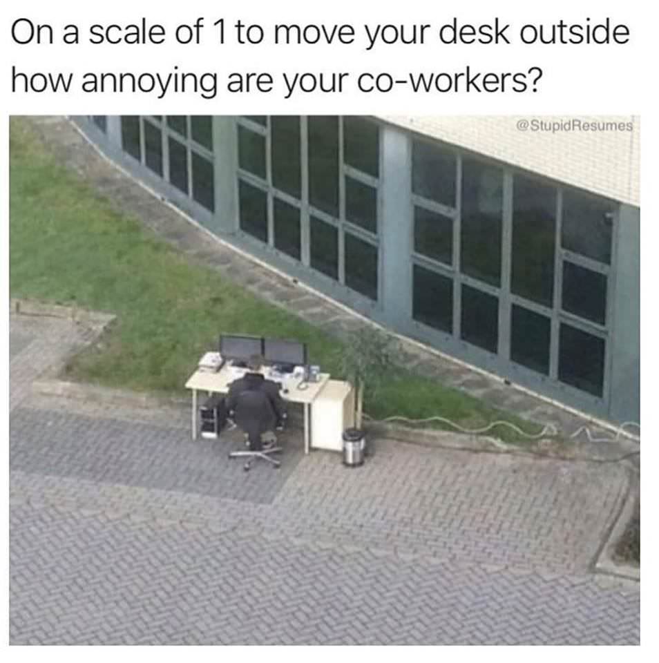 memes - desk outside meme - On a scale of 1 to move your desk outside how annoying are your coworkers? Resumes