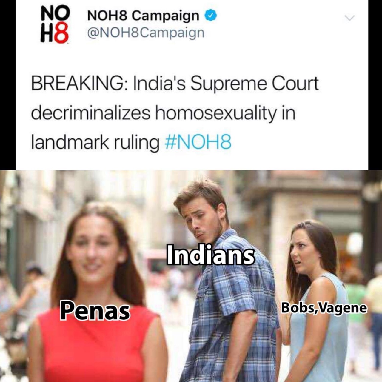 memes - bobs and vagene memes - No NOH8 Campaign H8 Breaking India's Supreme Court decriminalizes homosexuality in landmark ruling Indians Penas Bobs, Vagene