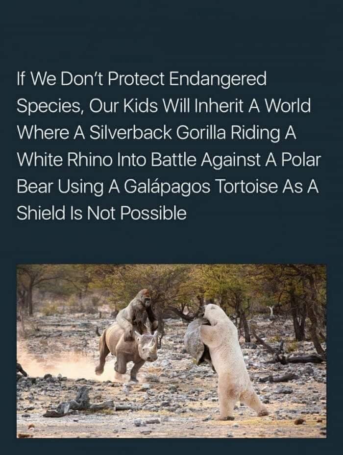 Meme wondering about scenes like this being possible if we don't protect wildlife of a gorilla riding a rhino attacking a polar bear
