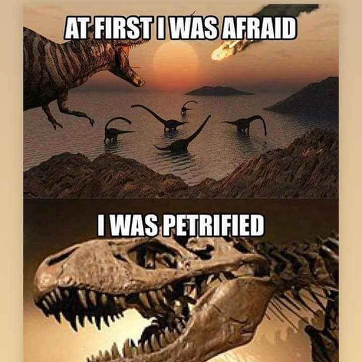 petrified dinosaur