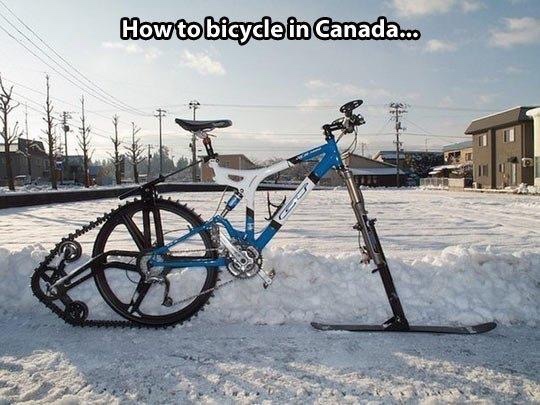 memes - winter mountain bike - How to bicycle in Canada...