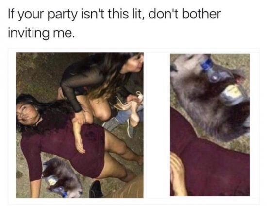 memes - party mood memes - If your party isn't this lit, don't bother inviting me.