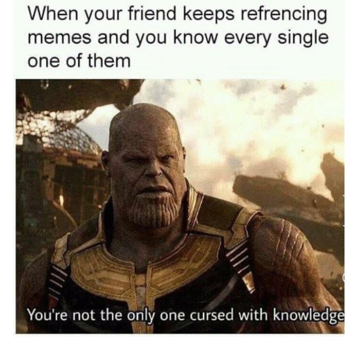 memes - spoiling endgame meme - When your friend keeps refrencing memes and you know every single one of them You're not the only one cursed with knowledge
