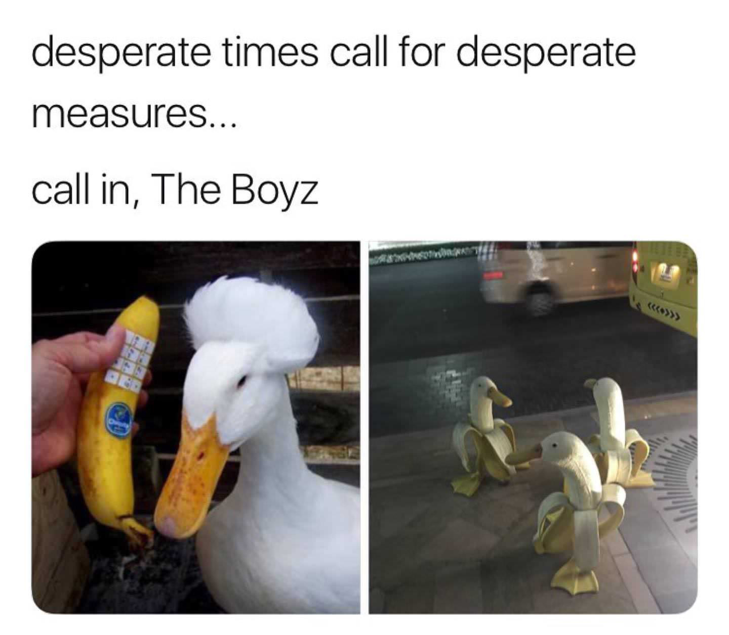 memes - silly duck - desperate times call for desperate measures... call in, The Boyz