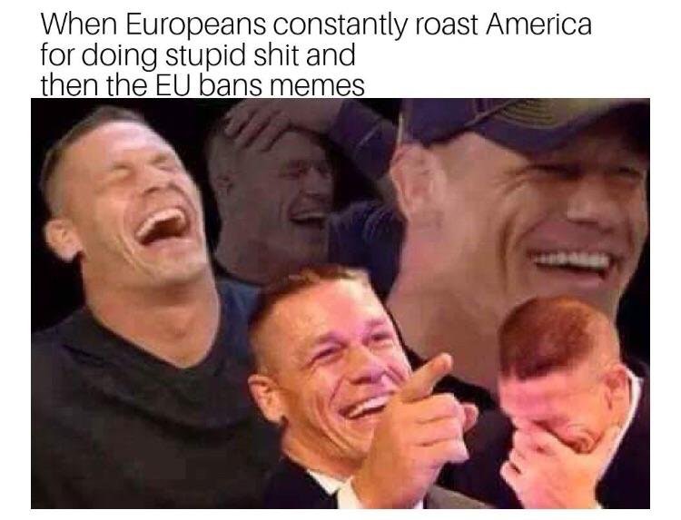 cringe your mom tells a bad joke but you need money - When Europeans constantly roast America for doing stupid shit and then the Eu bans memes