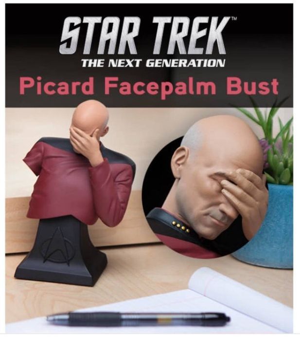 star trek - Star Trek The Next Generation Picard Facepalm Bust