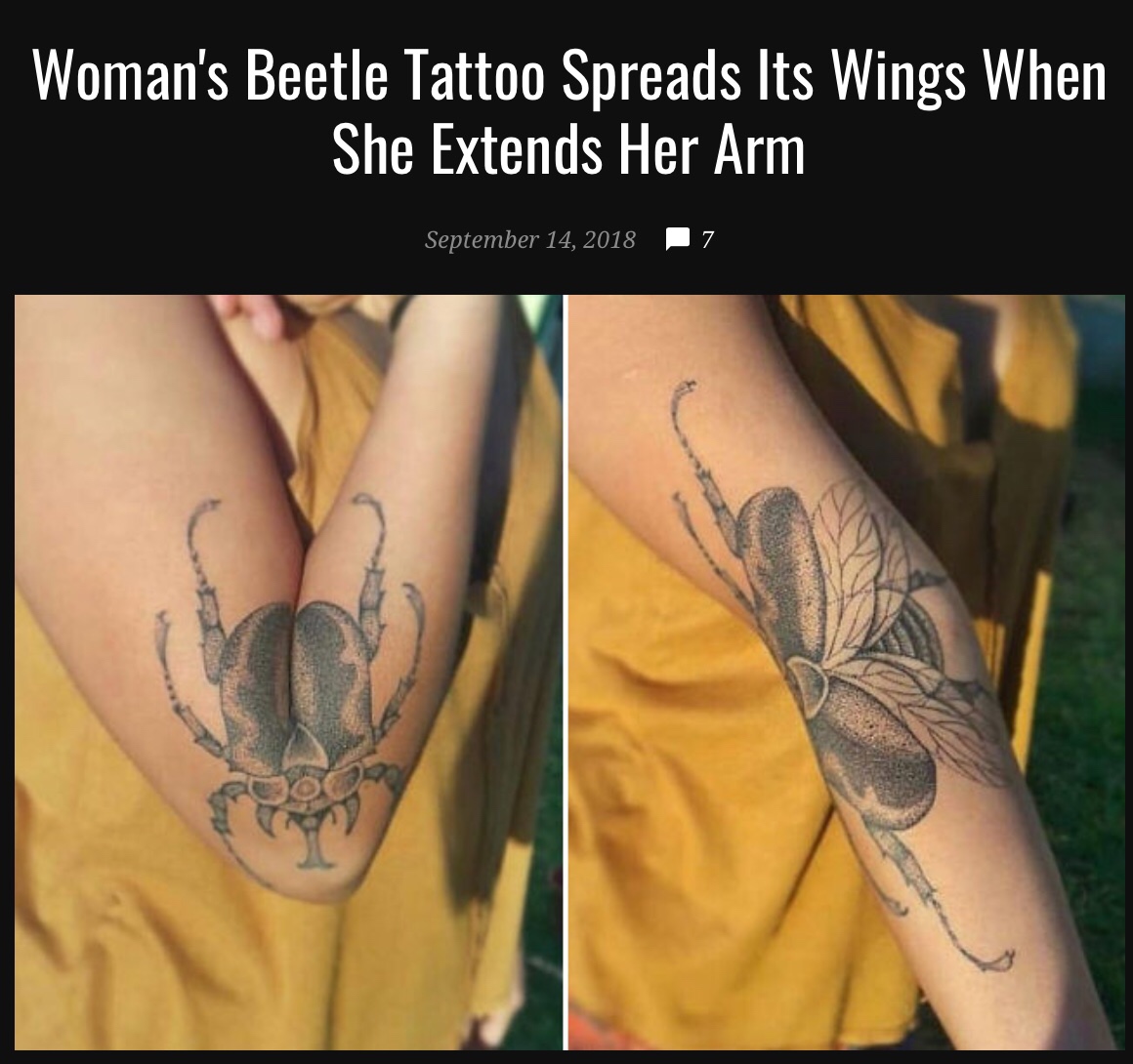 beetle arm tattoo - Woman's Beetle Tattoo Spreads Its Wings When She Extends Her Arm 7