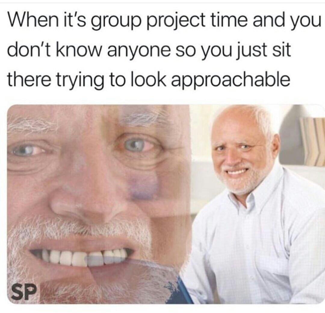 Hide the hurt Harold group project meme