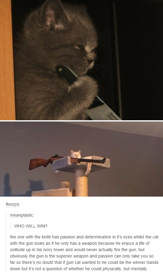 sniper cats