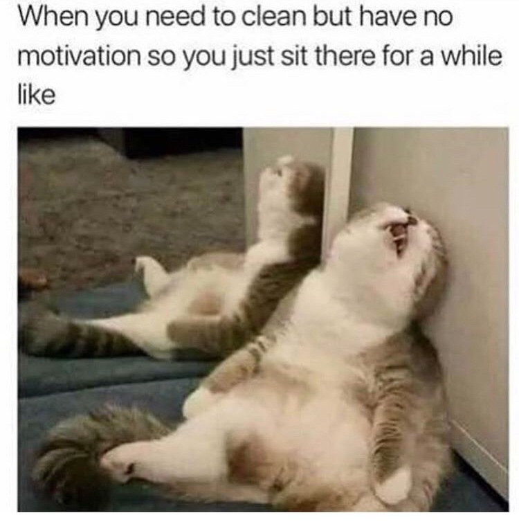 grumpy cat memes clean - When you need to clean but have no motivation so you just sit there for a while