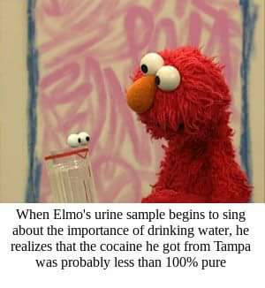 dark sesame street memes - When Elmo's urine sample begins to sing about the importance of drinking water, he realizes that the cocaine he got from Tampa was probably less than 100% pure