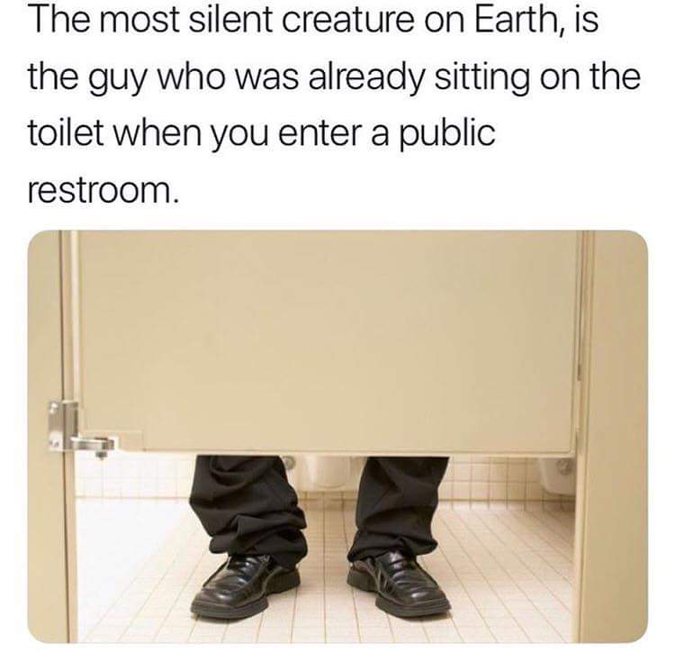 man in toilet cubicle - The most silent creature on Earth, is the guy who was already sitting on the toilet when you enter a public restroom.