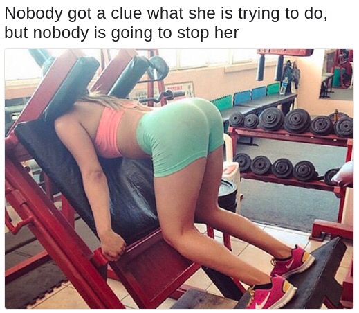 memes - so wrong but so right meme - Nobody got a clue what she is trying to do, but nobody is going to stop her